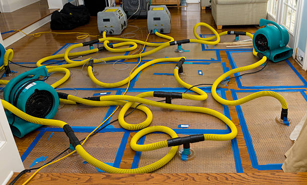 Professional Flood Damage Restoration technician working in Claypool, AZ